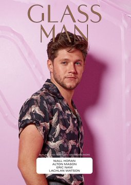 niall horan gloss