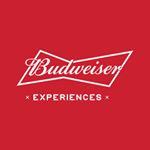 budweiserindia's profile picture